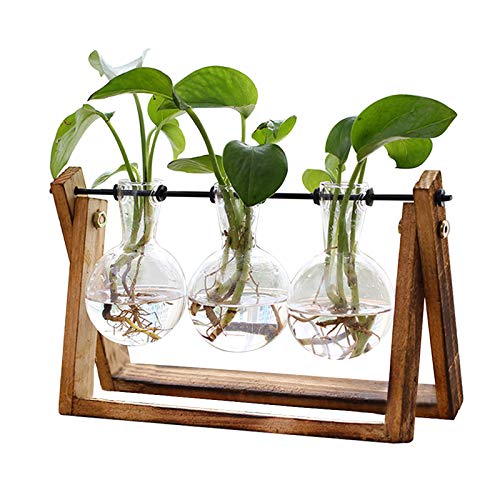 FLOWER 3-Bulb Plant Terrarium with Wooden Stand – Retro Hydroponic Tabletop Vase for Home, Garden, and Office